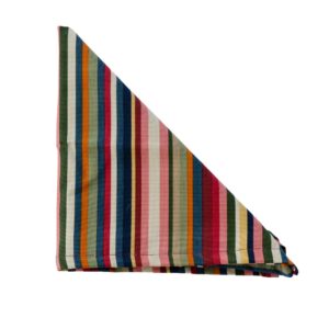 Queensland Stripe Napkins by Thomasville at Home